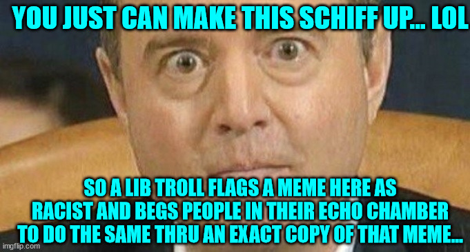 Hypocrite racist libs... | YOU JUST CAN MAKE THIS SCHIFF UP... LOL; SO A LIB TROLL FLAGS A MEME HERE AS RACIST AND BEGS PEOPLE IN THEIR ECHO CHAMBER TO DO THE SAME THRU AN EXACT COPY OF THAT MEME... | image tagged in adam schiff weird eyes,that's racist,note from mod,cant see any evidence of harassment,meme seems fine | made w/ Imgflip meme maker