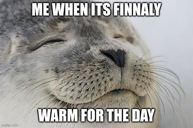 Satisfied Seal Meme | ME WHEN ITS FINNALY; WARM FOR THE DAY | image tagged in memes,satisfied seal | made w/ Imgflip meme maker