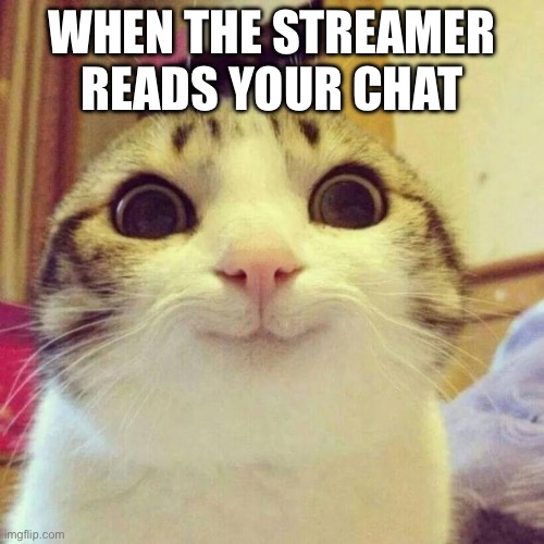 Made this whole watching TheUniverseBooks livestream | WHEN THE STREAMER READS YOUR CHAT | image tagged in memes,smiling cat | made w/ Imgflip meme maker