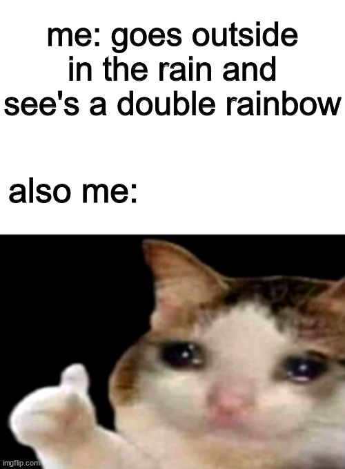 Sad cat thumbs up white spacing | me: goes outside in the rain and see's a double rainbow; also me: | image tagged in sad cat thumbs up white spacing | made w/ Imgflip meme maker