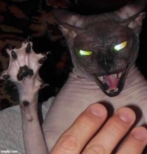 image tagged in horror | made w/ Imgflip meme maker