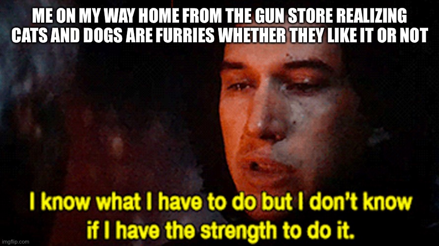 Someone’s going to die tonight | ME ON MY WAY HOME FROM THE GUN STORE REALIZING CATS AND DOGS ARE FURRIES WHETHER THEY LIKE IT OR NOT | image tagged in anti furry | made w/ Imgflip meme maker