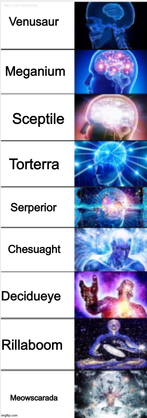 Expanding Brain 9-Panel | Venusaur; Meganium; Sceptile; Torterra; Serperior; Chesuaght; Decidueye; Rillaboom; Meowscarada | image tagged in expanding brain 9-panel,pokemon | made w/ Imgflip meme maker