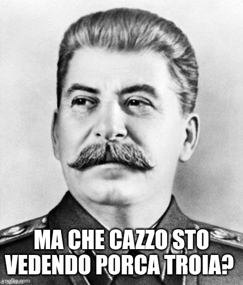 Hypocrite Stalin | MA CHE CAZZO STO VEDENDO PORCA TROIA? | image tagged in hypocrite stalin | made w/ Imgflip meme maker