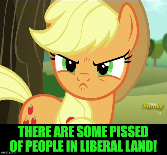 Pissed-Off Applejack (MLP) | THERE ARE SOME PISSED OF PEOPLE IN LIBERAL LAND! | image tagged in pissed-off applejack mlp | made w/ Imgflip meme maker