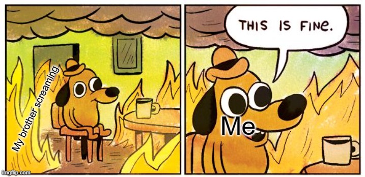 This Is Fine | My brother screaming; Me | image tagged in memes,this is fine | made w/ Imgflip meme maker