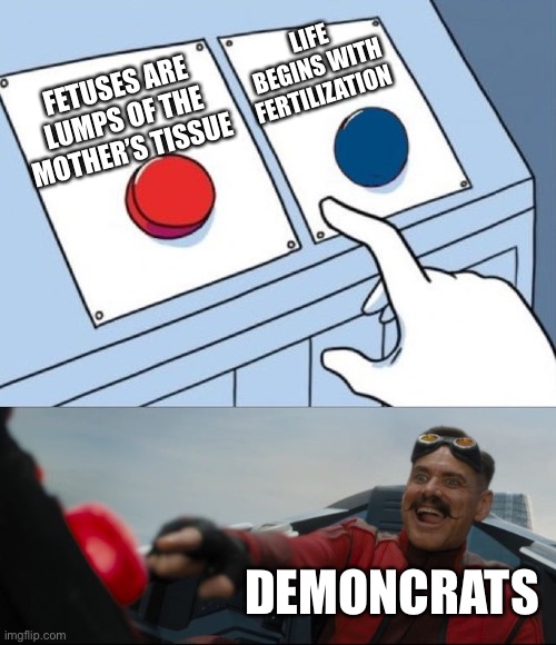 Life begins with fertilization. | LIFE BEGINS WITH FERTILIZATION; FETUSES ARE LUMPS OF THE MOTHER’S TISSUE; DEMONCRATS | image tagged in robotnik button,babies,abortion,abortion is murder,political meme | made w/ Imgflip meme maker