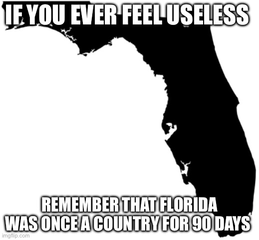 Just learned this about my home state | IF YOU EVER FEEL USELESS; REMEMBER THAT FLORIDA WAS ONCE A COUNTRY FOR 90 DAYS | image tagged in florida,geography | made w/ Imgflip meme maker