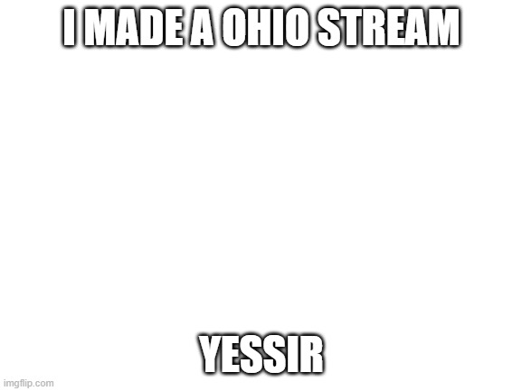 Blank White Template | I MADE A OHIO STREAM; YESSIR | image tagged in blank white template | made w/ Imgflip meme maker