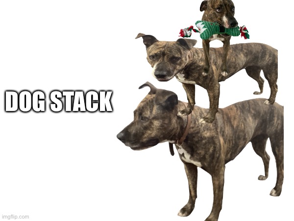 DOG STACK | made w/ Imgflip meme maker