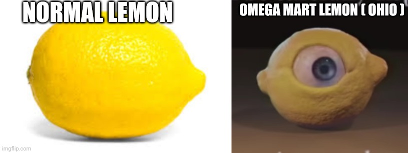 NORMAL LEMON OMEGA MART LEMON ( OHIO ) | image tagged in when life gives you lemons x,shocked omega mart lemon | made w/ Imgflip meme maker