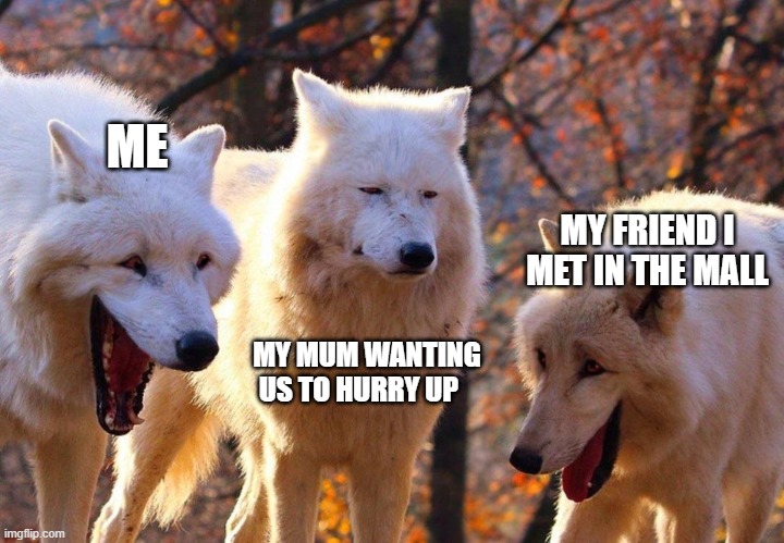 2/3 wolves laugh | ME; MY FRIEND I MET IN THE MALL; MY MUM WANTING US TO HURRY UP | image tagged in 2/3 wolves laugh | made w/ Imgflip meme maker