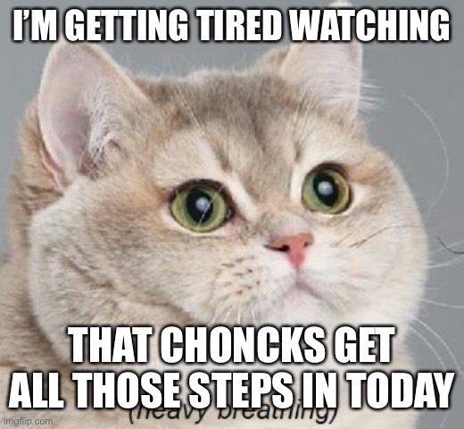 Heavy Breathing Cat Meme | I’M GETTING TIRED WATCHING THAT CHONCKS GET ALL THOSE STEPS IN TODAY | image tagged in memes,heavy breathing cat | made w/ Imgflip meme maker