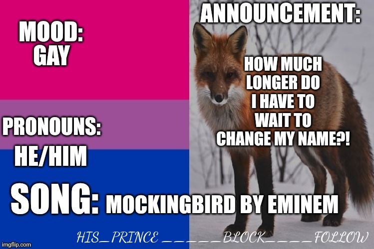 *le sigh* | HOW MUCH LONGER DO I HAVE TO WAIT TO CHANGE MY NAME?! GAY; HE/HIM; MOCKINGBIRD BY EMINEM | image tagged in his_prince's announcement template | made w/ Imgflip meme maker