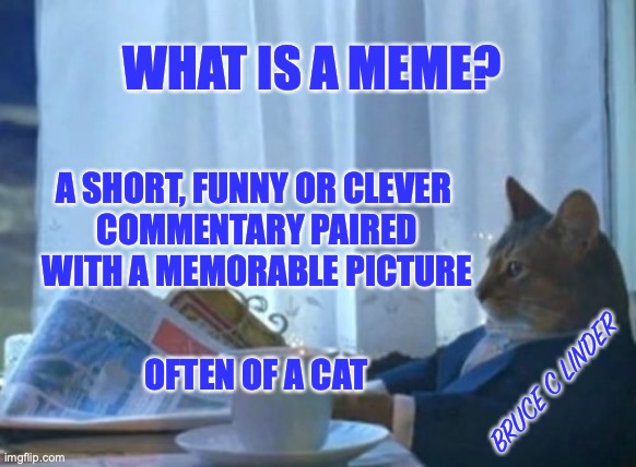Cat Meme | WHAT IS A MEME? A SHORT, FUNNY OR CLEVER 
COMMENTARY PAIRED WITH A MEMORABLE PICTURE; OFTEN OF A CAT; BRUCE C LINDER | image tagged in memes,cat,funny | made w/ Imgflip meme maker