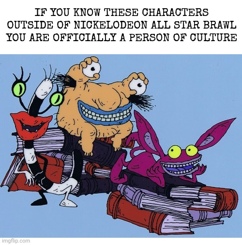 This show has the best theme song you will ever hear. | IF YOU KNOW THESE CHARACTERS OUTSIDE OF NICKELODEON ALL STAR BRAWL YOU ARE OFFICIALLY A PERSON OF CULTURE | image tagged in nickelodeon,nostalgia | made w/ Imgflip meme maker