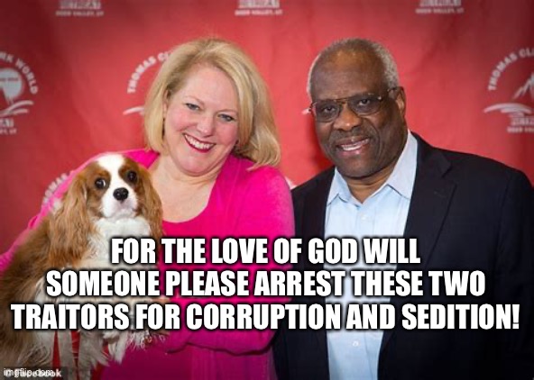 Clarence and Ginny Thomas. The dog is the smartest of the three. | FOR THE LOVE OF GOD WILL SOMEONE PLEASE ARREST THESE TWO TRAITORS FOR CORRUPTION AND SEDITION! | image tagged in clarence and ginny thomas the dog is the smartest of the three | made w/ Imgflip meme maker