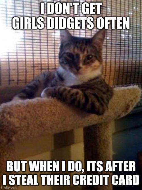 Terrible pun, joke, or whatever you call this meme | I DON'T GET GIRLS DIDGETS OFTEN; BUT WHEN I DO, ITS AFTER I STEAL THEIR CREDIT CARD | image tagged in memes,the most interesting cat in the world | made w/ Imgflip meme maker