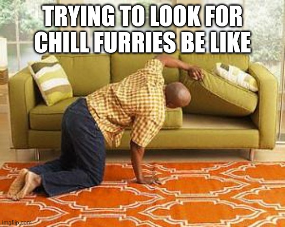 searching  | TRYING TO LOOK FOR CHILL FURRIES BE LIKE | image tagged in searching | made w/ Imgflip meme maker