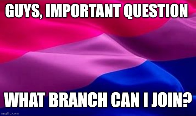 Pls, pls, pls answer | GUYS, IMPORTANT QUESTION; WHAT BRANCH CAN I JOIN? | image tagged in bi flag waving | made w/ Imgflip meme maker