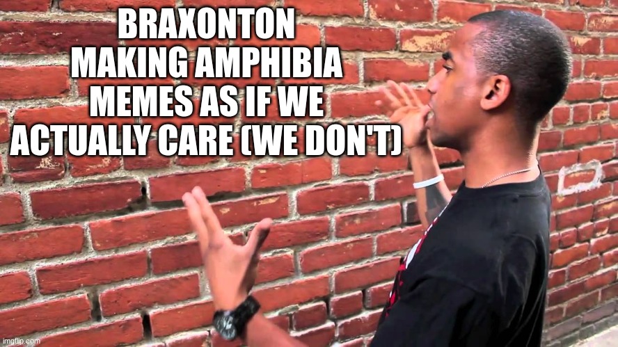 Talking to wall | BRAXONTON MAKING AMPHIBIA MEMES AS IF WE ACTUALLY CARE (WE DON'T) | image tagged in talking to wall | made w/ Imgflip meme maker