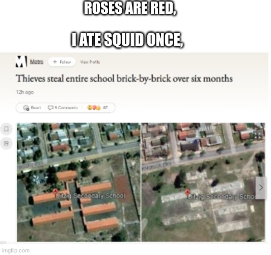 Roses | ROSES ARE RED, I ATE SQUID ONCE, | image tagged in roses are red,do you are have stupid,why,i've lost faith in humanity,lol,memes | made w/ Imgflip meme maker