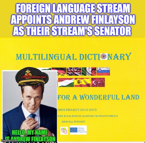 Senator Andrew Finlayson | FOREIGN LANGUAGE STREAM APPOINTS ANDREW FINLAYSON AS THEIR STREAM'S SENATOR; Offical Senate hat | image tagged in senate,andrew | made w/ Imgflip meme maker