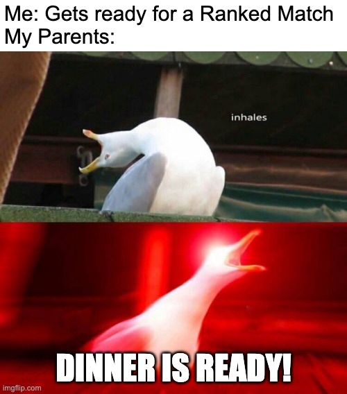Come on mum, I can't pause that Online Game | Me: Gets ready for a Ranked Match
My Parents:; DINNER IS READY! | image tagged in inhaling seagull,memes,gaming,online gaming,parents,relatable memes | made w/ Imgflip meme maker