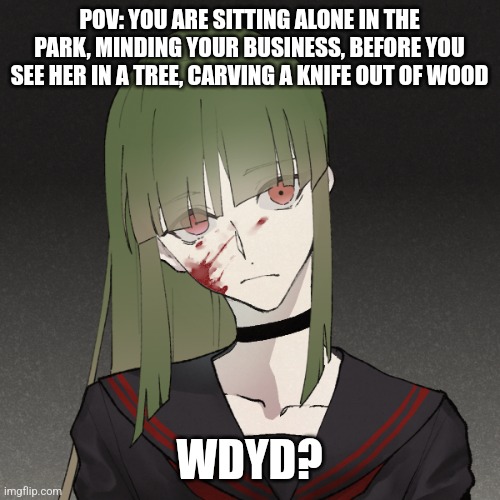 No Joke please- but romance is fine, friendship is fine, I'm just bored asf | POV: YOU ARE SITTING ALONE IN THE PARK, MINDING YOUR BUSINESS, BEFORE YOU SEE HER IN A TREE, CARVING A KNIFE OUT OF WOOD; WDYD? | made w/ Imgflip meme maker