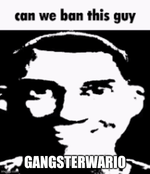 Can we ban this guy | GANGSTERWARIO | image tagged in can we ban this guy | made w/ Imgflip meme maker