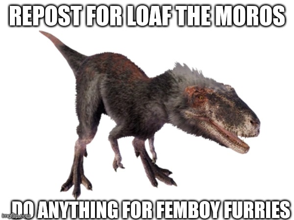 Loaf lord | REPOST FOR LOAF THE MOROS; DO ANYTHING FOR FEMBOY FURRIES | made w/ Imgflip meme maker