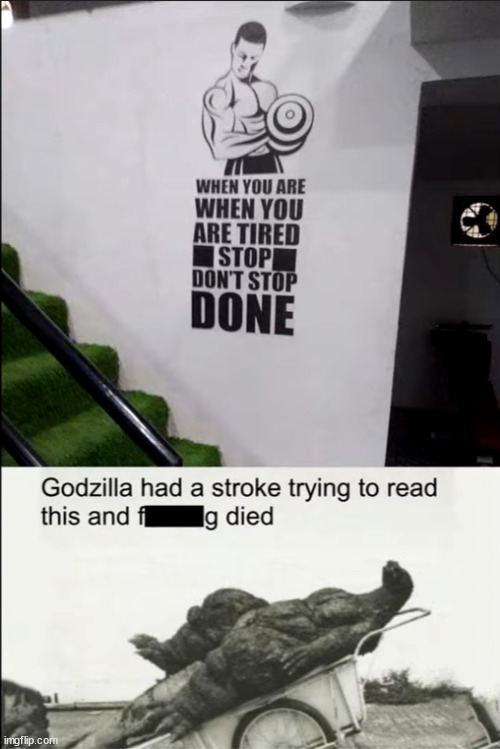 image-tagged-in-godzilla-had-a-stroke-trying-to-read-this-and-fricking