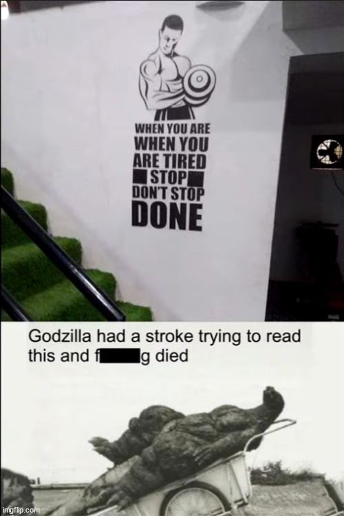 Image Tagged In Godzilla Had A Stroke Trying To Read This And Fricking 