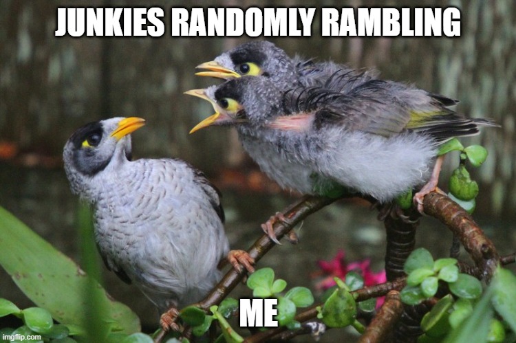 Living in a halfway house | JUNKIES RANDOMLY RAMBLING; ME | image tagged in screaming myna birds | made w/ Imgflip meme maker