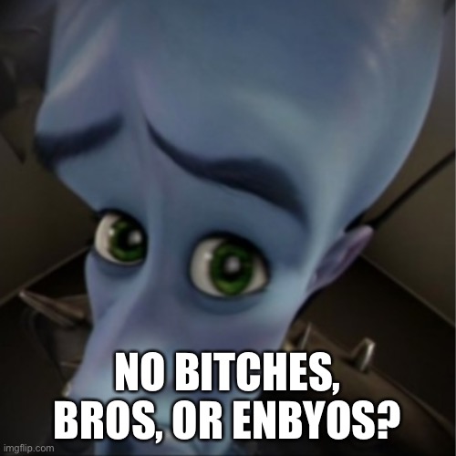 NOT TO BE OFFENSIVE- | NO BITCHES, BROS, OR ENBYOS? | image tagged in megamind peeking,lgbtq,no bitches | made w/ Imgflip meme maker