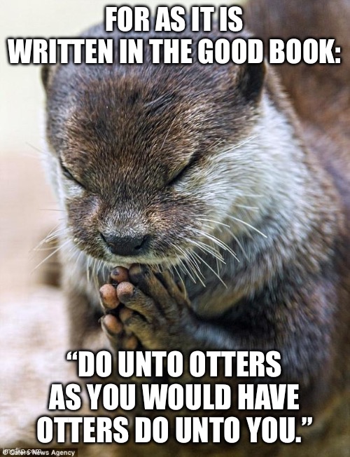 Thank you Lord Otter | FOR AS IT IS WRITTEN IN THE GOOD BOOK:; “DO UNTO OTTERS AS YOU WOULD HAVE OTTERS DO UNTO YOU.” | image tagged in thank you lord otter | made w/ Imgflip meme maker
