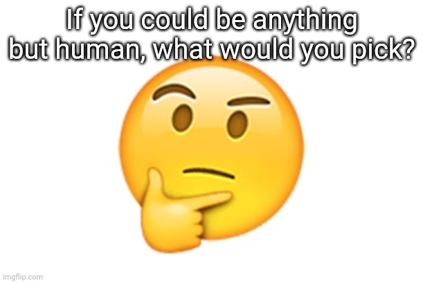 I want notifs | If you could be anything but human, what would you pick? | image tagged in thinking emoji | made w/ Imgflip meme maker