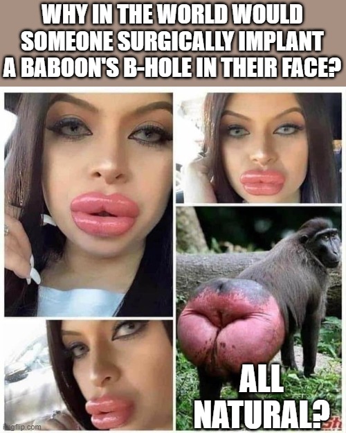 Lipasaurous lips | WHY IN THE WORLD WOULD SOMEONE SURGICALLY IMPLANT A BABOON'S B-HOLE IN THEIR FACE? ALL-NATURAL? | image tagged in same doctor,lips,asshole,funny memes,hollywood liberals,actress | made w/ Imgflip meme maker