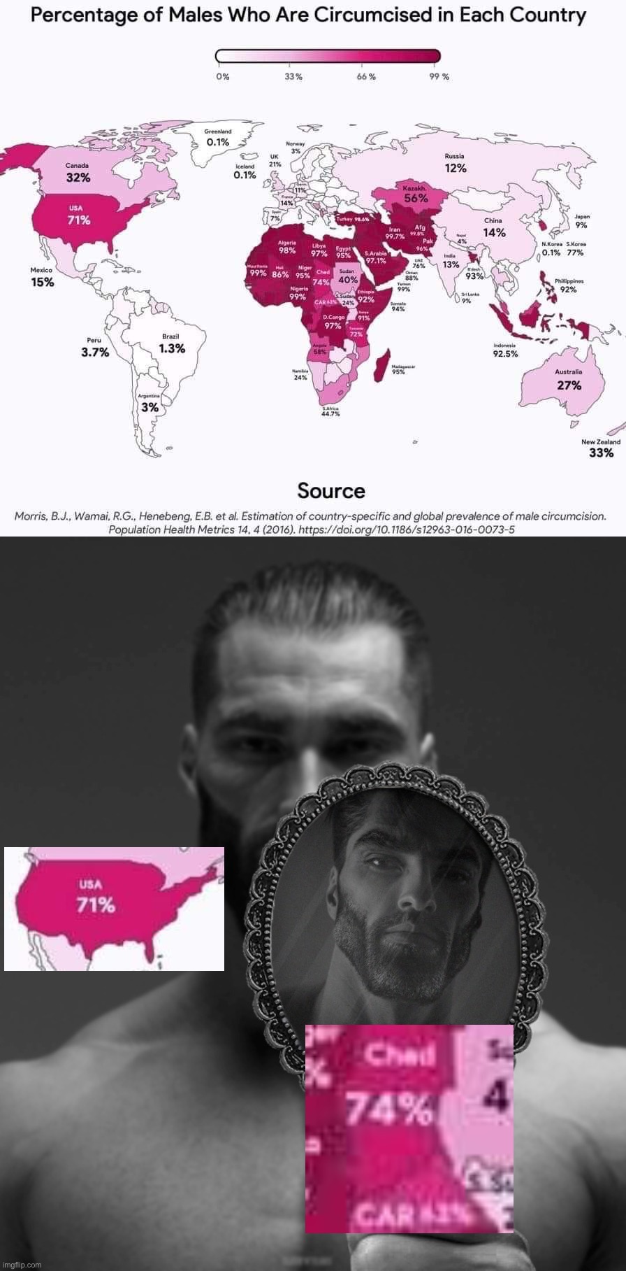 World maps were the U.S. is extremely comparable to Chad (but at what cost) | image tagged in male circumcision,giga chad shows giga chad a mirror,usa,chad,get it,because its chad | made w/ Imgflip meme maker