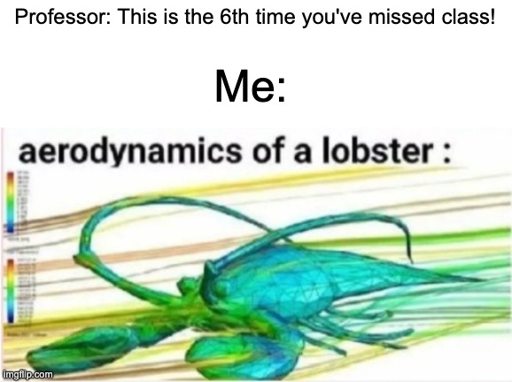 lobstr | Professor: This is the 6th time you've missed class! Me: | image tagged in aerodynamics of a lobster | made w/ Imgflip meme maker