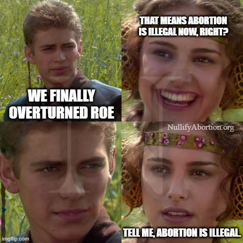 Roe overturned means abortion is illegal, now, right?... right...? |  THAT MEANS ABORTION IS ILLEGAL NOW, RIGHT? WE FINALLY OVERTURNED ROE; NullifyAbortion.org; TELL ME, ABORTION IS ILLEGAL. | image tagged in prolife,pro-life,abortion is murder,abolition,conservatives | made w/ Imgflip meme maker