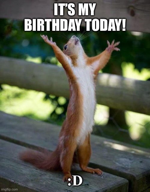 Happy Squirrel | IT’S MY BIRTHDAY TODAY! :D | image tagged in happy squirrel | made w/ Imgflip meme maker