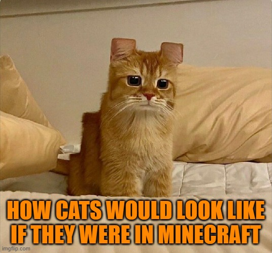 cats | HOW CATS WOULD LOOK LIKE IF THEY WERE IN MINECRAFT | image tagged in minecraft | made w/ Imgflip meme maker