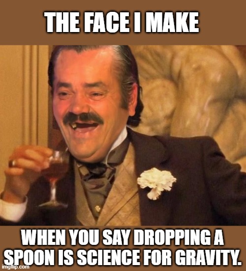 Gravity Face | THE FACE I MAKE; WHEN YOU SAY DROPPING A SPOON IS SCIENCE FOR GRAVITY. | image tagged in gravity,flat earth | made w/ Imgflip meme maker