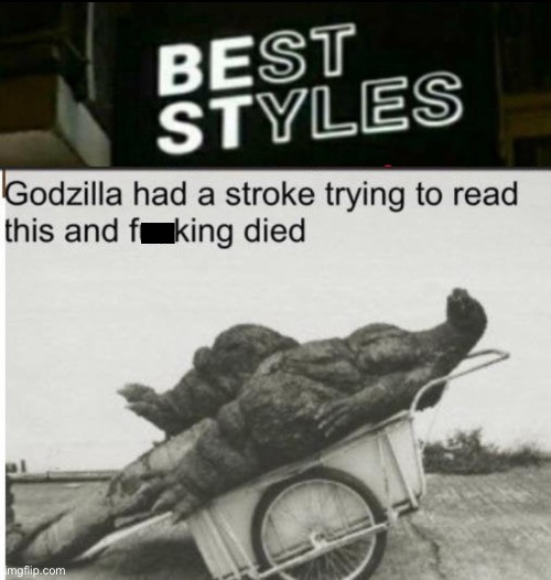 I can’t Understand this | image tagged in godzilla,you had one job,memes,design fails,crappy design,godzilla had a stroke trying to read this and fricking died | made w/ Imgflip meme maker