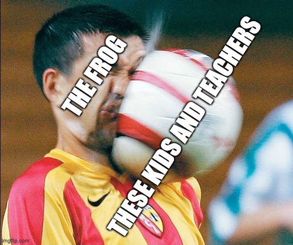 getting hit in the face by a soccer ball | THE FROG THESE KIDS AND TEACHERS | image tagged in getting hit in the face by a soccer ball | made w/ Imgflip meme maker