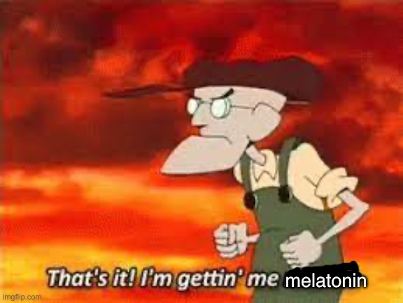 me trying to sleep after i thoroughly fucked up my sleep schedule | melatonin | image tagged in thats it im gettin me mallet | made w/ Imgflip meme maker