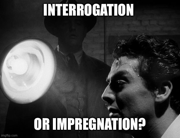 Interrogation | INTERROGATION; OR IMPREGNATION? | image tagged in interrogation | made w/ Imgflip meme maker