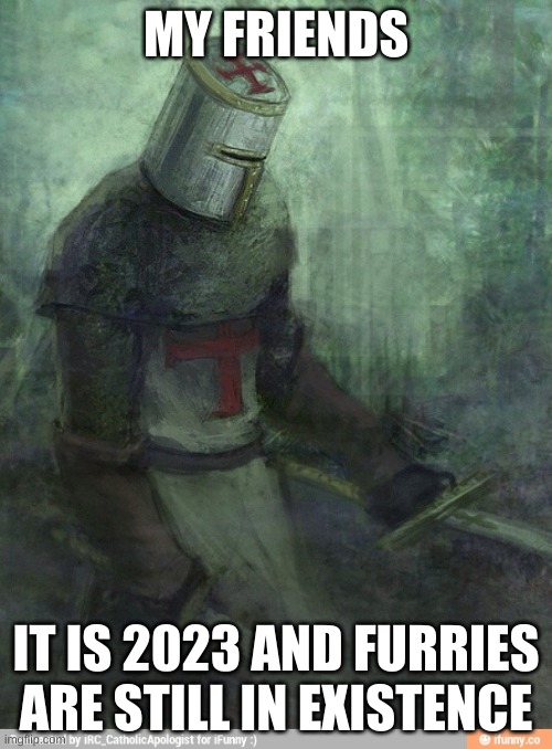 We have failed... | MY FRIENDS; IT IS 2023 AND FURRIES ARE STILL IN EXISTENCE | image tagged in sad crusader | made w/ Imgflip meme maker