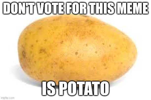 is potato | DON'T VOTE FOR THIS MEME; IS POTATO | image tagged in potato,russia,putin | made w/ Imgflip meme maker